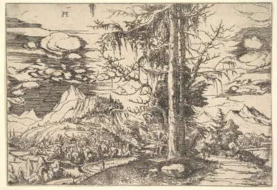 Landscape with a Double Spruce — Albrecht Altdorfer