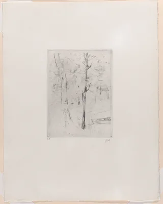 Landscape (Tree-trunks near a River) — Berthe Morisot