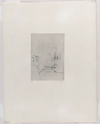 Duck and Reeds — Berthe Morisot
