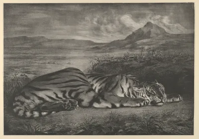 Royal Tiger — Eugène Delacroix