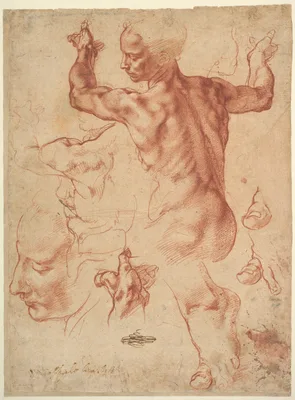 Studies for the Libyan Sibyl (recto); Studies for the Libyan Sibyl and a small Sketch for a Seated Figure (verso) — Michelangelo