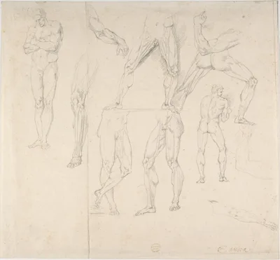 Nude Study — Antonio Canova · Anonymous, Italian, early 19th century