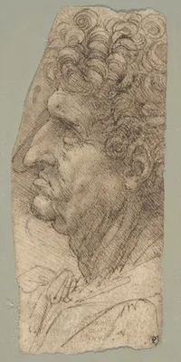 Head of a Man in Profile Facing to the Left — Leonardo da Vinci