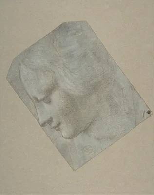 The Head of a Woman in Profile Facing Left — Leonardo da Vinci · Giovanni Antonio Boltraffio