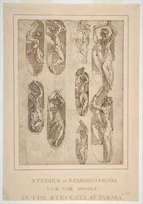 Nine Studies of the Moses in Santa Maria della Steccata, Parma (recto); Nine Studies for the Eve in Santa Maria della Steccata, Parma (verso) — Parmigianino