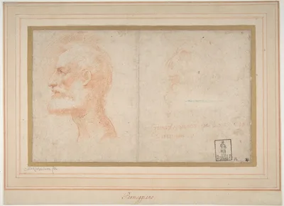 Head of a Bearded Man in Profile to Left, possibly the Portrait of the Poet Giorgio Anselmi (ca. 1459-1528), with Faint Sketch of a Skull-like Head — Parmigianino