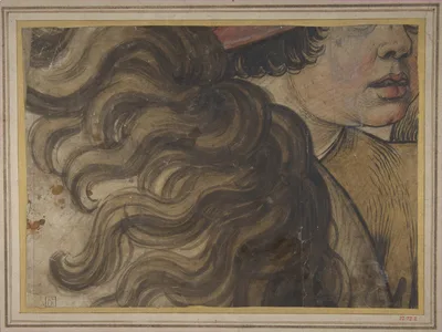 Head of a boy and section of a horse's mane — Raphael