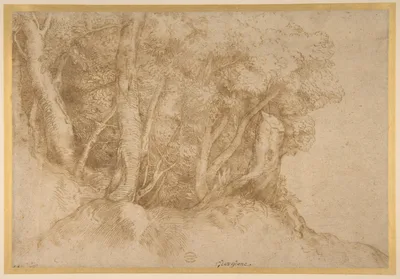 Group of Trees — Titian