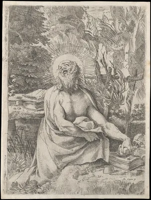 Saint Jerome in the Wilderness — Pietro Stefanoni · Annibale Carracci