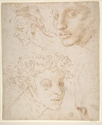 Three Heads after Michelangelo's Frescoes in the Sistine Chapel — Anonymous, Italian, 16th century · Michelangelo Buonarroti