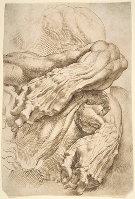 Anatomical Studies:  a left forearm in two positions and a right forearm — Peter Paul Rubens