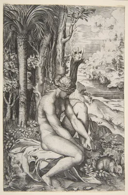 Venus removing a thorn from her left foot while seated on a cloth next to trees, a hare lower right — Marco Dente · Raphael (Raffaello Sanzio or Santi)