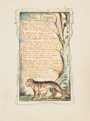 Songs of Experience: The Tyger — William Blake