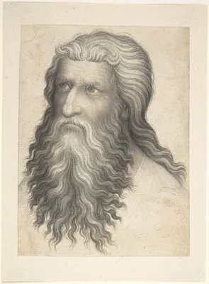 Head of a Bearded Man — Anonymous, Bohemian, 14th century