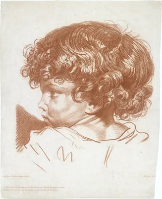 Study, Head of a Boy — Therèse Éléonore (Hemery) Lingée · Jean-Baptiste Greuze