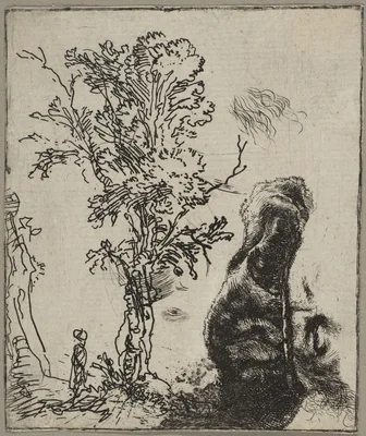 Sheet with Two Studies:  A Tree and the Upper Part of a Head of Rembrandt Wearing a Velvet Cap — Rembrandt