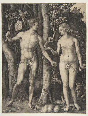 Adam and Eve — Albrecht Dürer