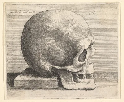 Skull in profile to right — Leonardo da Vinci · Wenceslaus Hollar