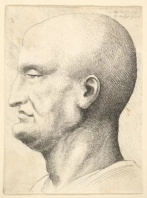 Head of a bald man in profile to left — Leonardo da Vinci · Wenceslaus Hollar