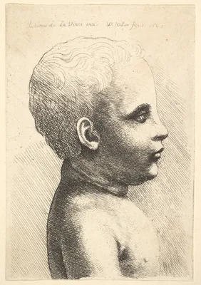 Head and shoulder of a child, in profile to right — Leonardo da Vinci · Wenceslaus Hollar