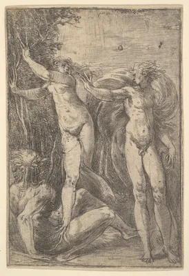 Apollo and Daphne — Andrea Schiavone
