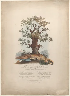 The Royal Allied Oak and Self-Created Mushroom Kings — John M. Field · James Jenkins · Alexander I, of Russia · Napoléon Bonaparte · Arthur Wellesley, 1st Duke of Wellington · George, Prince of Wales · Gebhard Leberecht von Blücher · Louis XVIII, King of France · George III, King of Great Britain and Ireland · William Heath ('Paul Pry')
