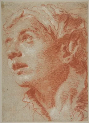 Head of a Young Man in Three-Quarter View — Giovanni Battista Tiepolo