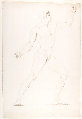 Study of a Nude Man in Profile turned to the Right — Antonio Canova