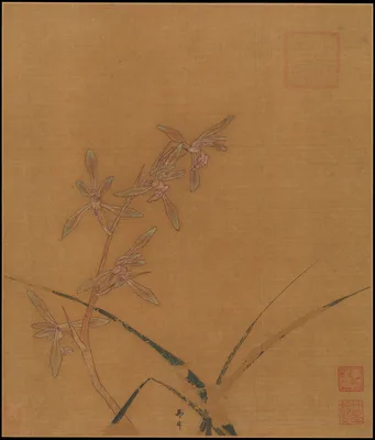 南宋 馬麟 蘭花圖 冊頁 絹本 · Orchids — Ma Lin