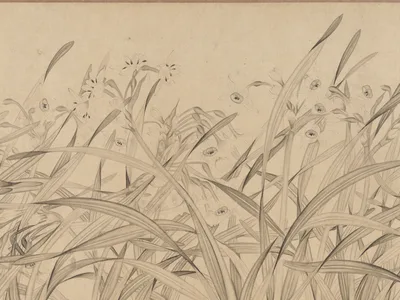 南宋 趙孟堅 水仙圖 卷 · Narcissus — Zhao Mengjian