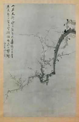 이유원  매화도  조선 · 李裕元  梅花圖  朝鮮 · Plum Branch — Yi Yu-won