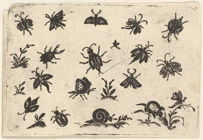 Small Motifs of Insects and Plants — Georg Herman
