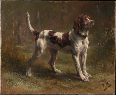 A Limier Briquet Hound — Rosa Bonheur