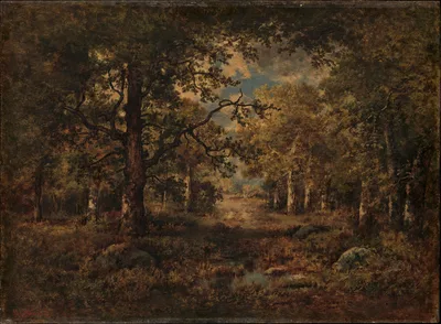 A Vista through Trees: Fontainebleau — Narcisse Virgilio Díaz