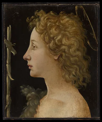 The Young Saint John the Baptist — Piero di Cosimo