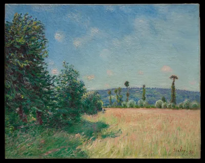 Sahurs Meadows in Morning Sun — Alfred Sisley