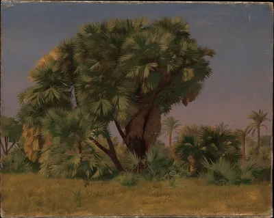 Study of Palm Trees — Jean-Léon Gérôme