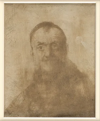 A Young Man — School of Rembrandt van Rijn · Rembrandt (Rembrandt van Rijn)