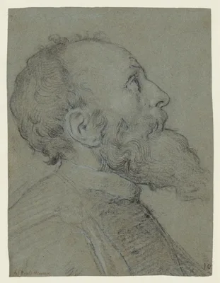Head of a Bearded Man — Paolo Veronese (Paolo Caliari) · School of Paolo Veronese