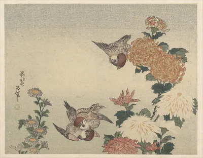 葛飾北斎画　菊に雀 · Sparrows and Chrysanthemums — Katsushika Hokusai