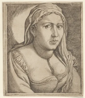 Woman with a Veil — Jan Cornelisz Vermeyen