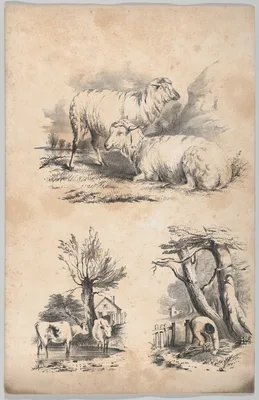 Vignette with two sheep, Vignette with two cows in a pool, and Vignette of a wood-gatherer, in: The New York Drawing Book, Containing a Series of Original Designs and Sketches of American Scenery, No. 2 — Francis & Seymour Palmer · Frances Flora Bond Palmer · W. H. Graham