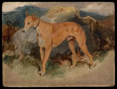 A Deerhound — Edwin Landseer