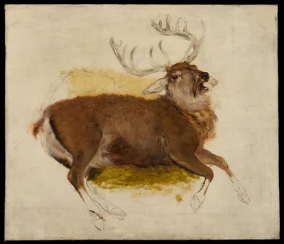 Dying Stag — Edwin Landseer