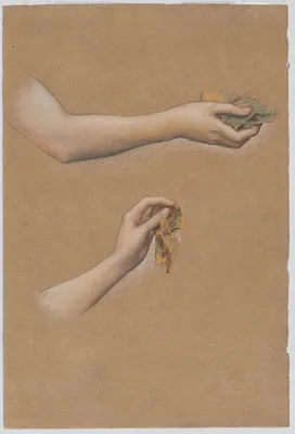 Study of Arms for "The Cadence of Autumn" — Evelyn De Morgan