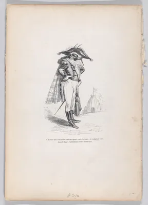 "He had only his beautiful colors..." from Scenes from the Private and Public Life of Animals — Andrew Best Leloir · Honoré de Balzac · J. J. Grandville
